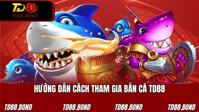 Các bước truy cập chinh phục đại dương