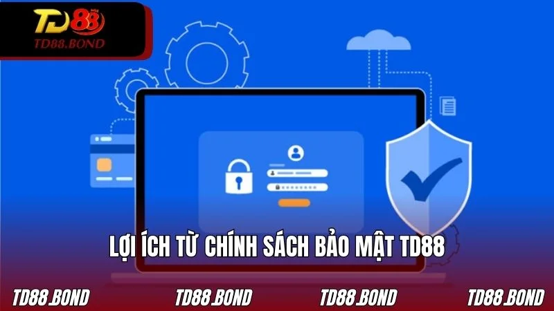 Vai trò của việc thiết lập các chính sách