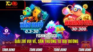 Fishing Disco