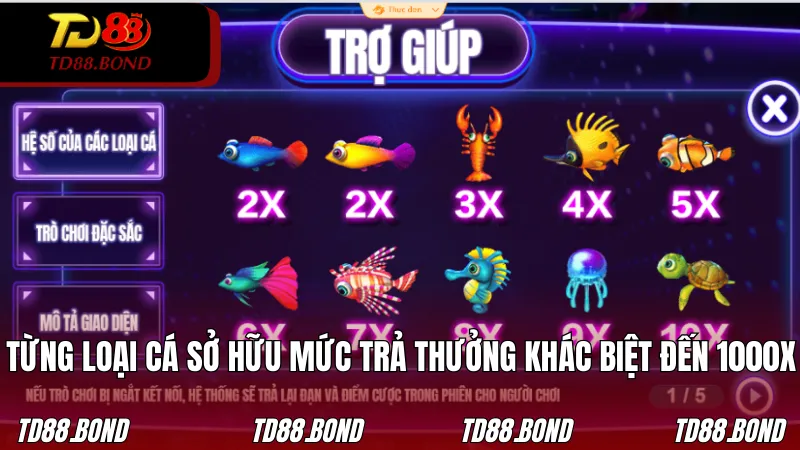 Từng loại cá sở hữu mức trả thưởng khác biệt lên đến 1000X