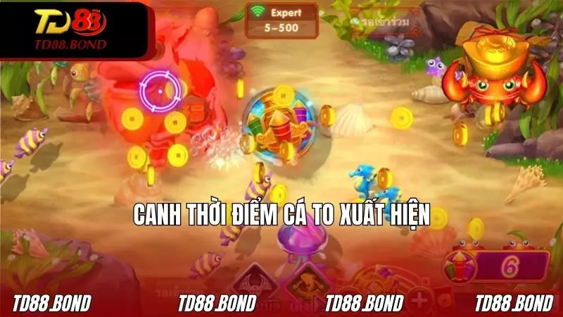 Canh thời điểm cá to xuất hiện để hạ gục
