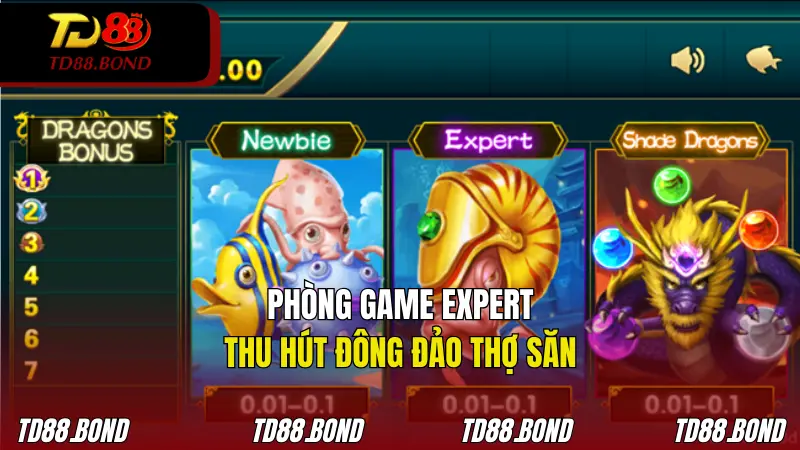 Phòng game Expert là nơi dành cho những người đã có kinh nghiệm