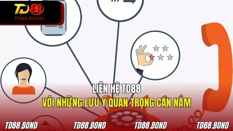 Những lưu ý khi hội viên liên hệ TD88 có thể bạn chưa biết