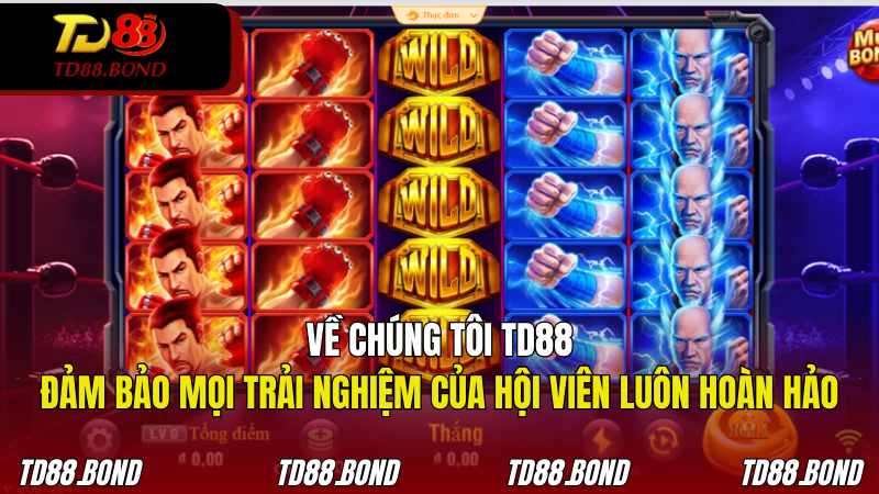 TD88 đảm bảo mọi trải nghiệm của hội viên luôn hoàn hảo