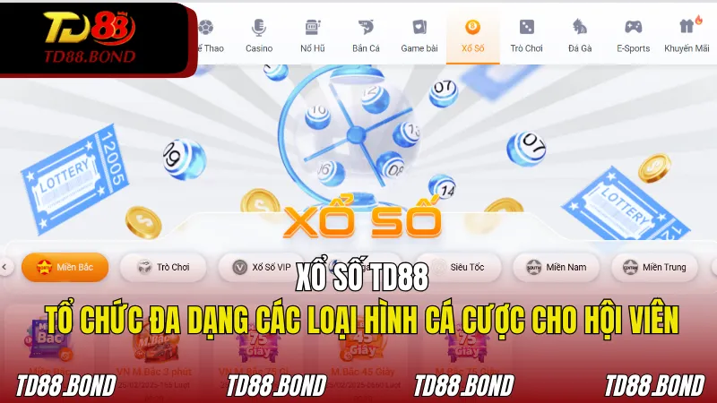 Xổ số TD88 tổ chức đa dạng các loại hình cá cược cho hội viên